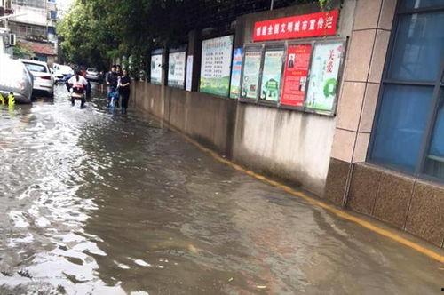 解放路学校爆料视频最新,揭秘校园内幕，引发社会关注  第2张