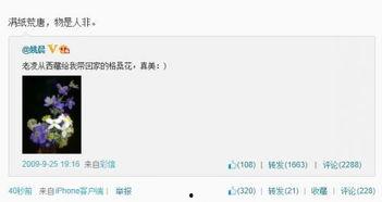 网上娱乐圈爆料都是假的,真相与谣言的交织 第2张 网上娱乐圈爆料都是假的,真相与谣言的交织 第2张