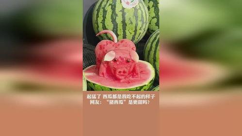 西瓜视频吃瓜猪娱乐,西瓜视频热门搞笑内容盘点  第3张